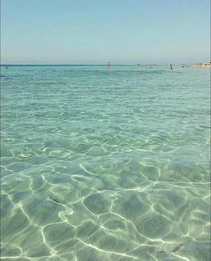 Dgs Aparthotel Trapani Italia